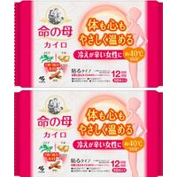 Kobayashi Kiribai Mother of Life Warmer Patches for Relief of Lady's Period Pain 2 Packs 20pcs