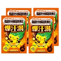 Bison Explosive Sweat Water Yuzu & Ginger Scent 4 Packs (60gx4) 爆汗湯